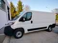 Fiat Ducato 33 2.2 Mjt 140CV L2 H1 Furgone MY25 Blanco - thumbnail 4