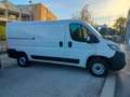 Fiat Ducato 33 2.2 Mjt 140CV L2 H1 Furgone MY25 Blanco - thumbnail 7