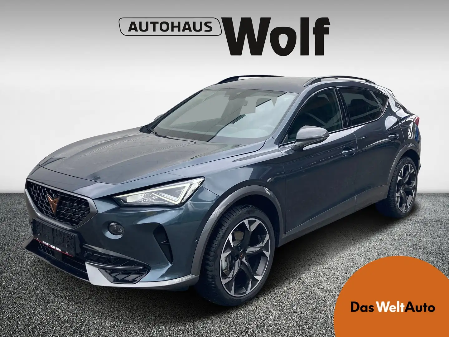 CUPRA Formentor 2.0 TSI 190 PS DSG 4Drive Gris - 1