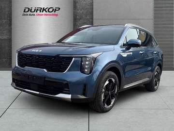 1.6T PHEV 4WD PLATINUM HUD Navi Leder Digitales Co