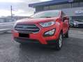 Ford EcoSport 1.0 EcoBoost 100 CV Business Rosso - thumbnail 1