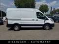 Ford Transit 310 L2H2 Trend KLIMA Kamera Tempomat Weiß - thumbnail 19