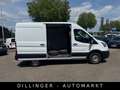 Ford Transit 310 L2H2 Trend KLIMA Kamera Tempomat Weiß - thumbnail 3