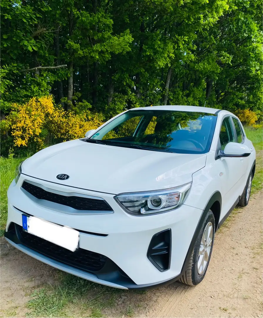 Kia Stonic 1.2 Vision Weiß - 1