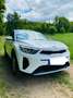 Kia Stonic 1.2 Vision Weiß - thumbnail 8