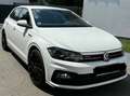 Volkswagen Polo GTI Polo 2.0 TSI OPF DSGGTI Weiß - thumbnail 4