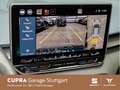 CUPRA Terramar 1.5 eTSI DSG 110 kW Grijs - thumbnail 8