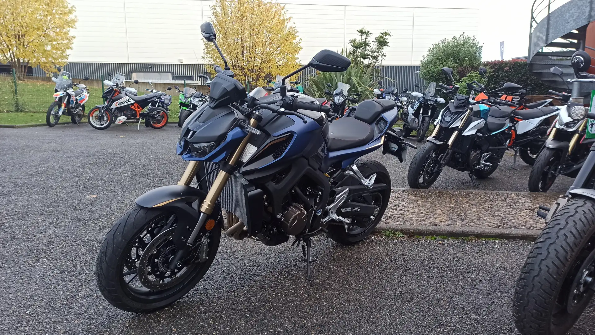 QJ Motor Sonstige Blau - 2