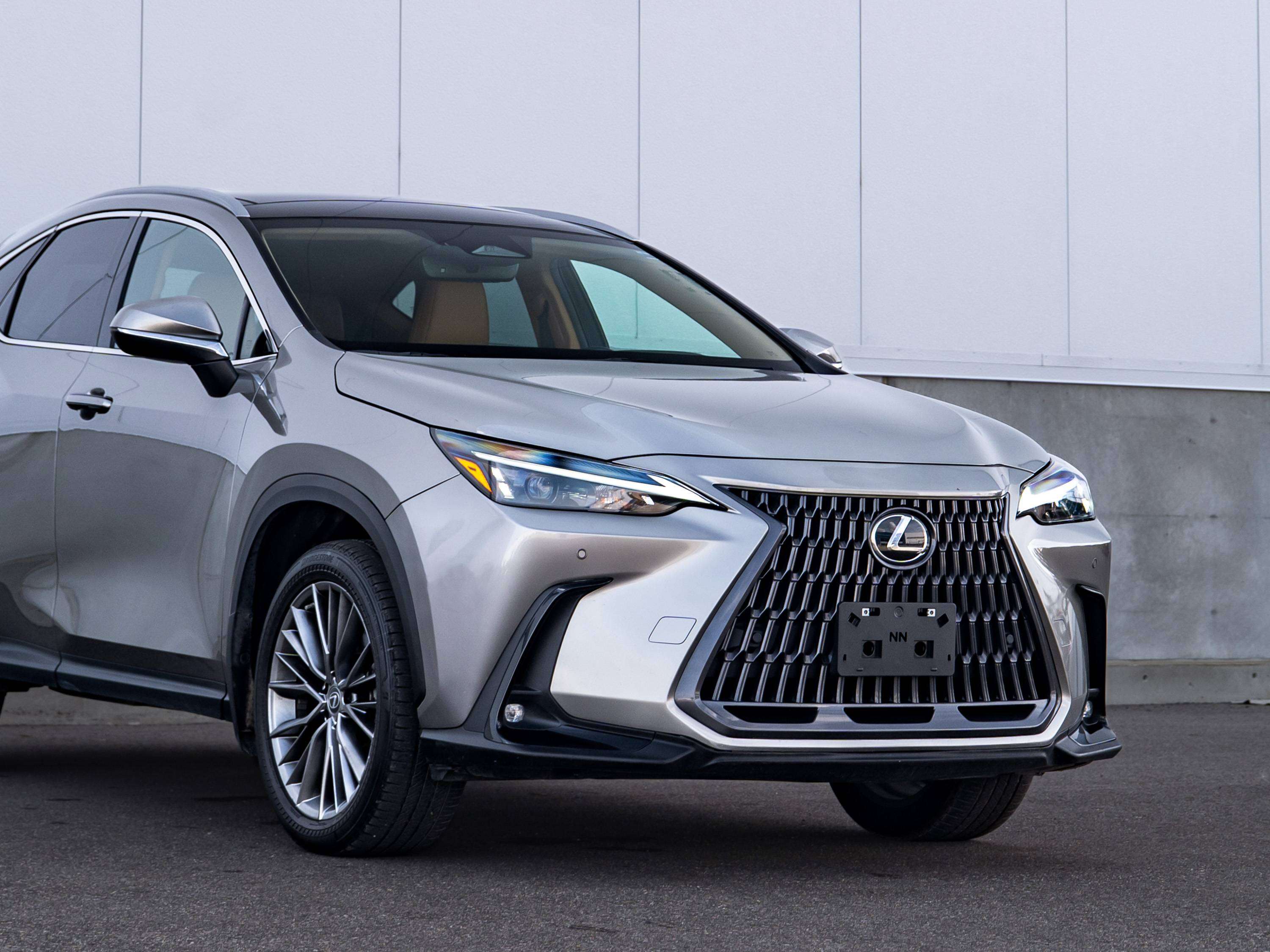 2022 Lexus NX