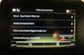 Renault Grand Scenic IV Limited DeLuxe AHK 19% 1.H SH DE Grau - thumbnail 38