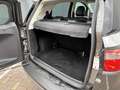 Ford EcoSport 1.0 EcoBoost Titanium Dealer onderhouden I Navigat Gris - thumbnail 16
