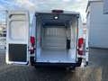Fiat Ducato e-Ducato L2H2 (47-kWh) Weiß - thumbnail 6