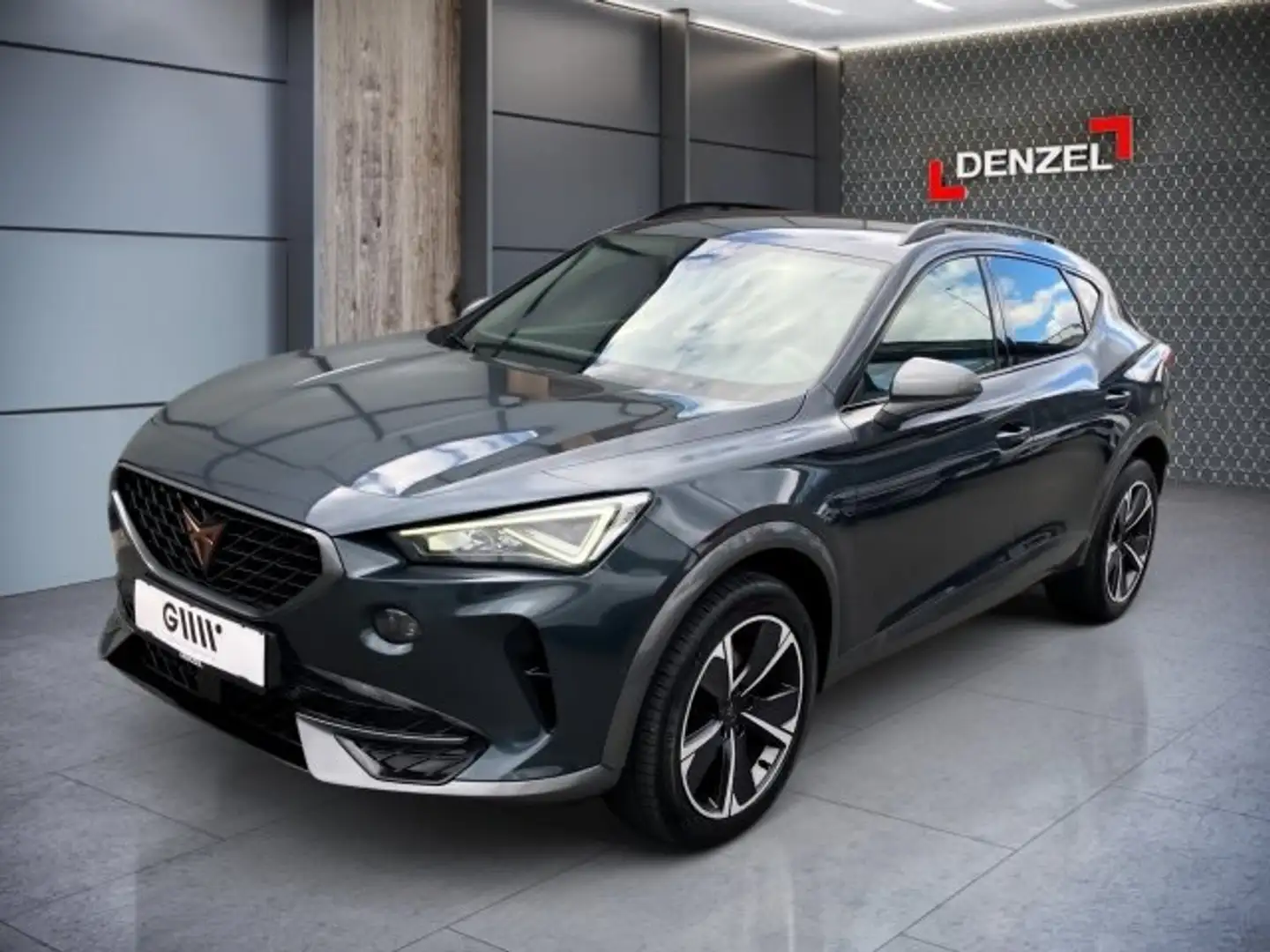 CUPRA Formentor 2,0 TDI 4Drive DSG Grau - 1