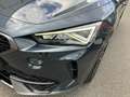 CUPRA Formentor 2,0 TDI 4Drive DSG Grau - thumbnail 12