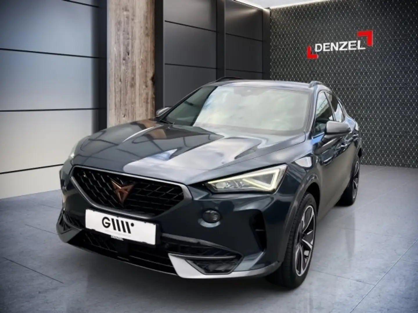 CUPRA Formentor 2,0 TDI 4Drive DSG Grau - 2