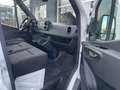 Mercedes-Benz Sprinter 317 CDI KA/3665/L2H2/MBUX/NAVI/360°/TEMPOMAT/ Weiß - thumbnail 9