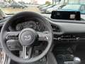 Mazda CX-30 e-SKYACTIV G 122ps 6MT FWD Homura Beige - thumbnail 10