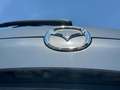 Mazda CX-5 CX-5 2.2 SKYACTIV 2wd 150cv auto my21 Grau - thumbnail 22