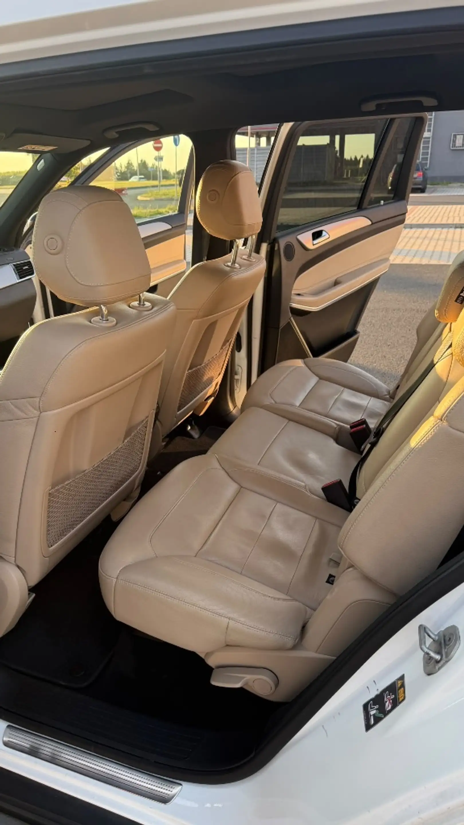 Mercedes-Benz GLS 500 GLS 500 4Matic (166.873) — photo 14
