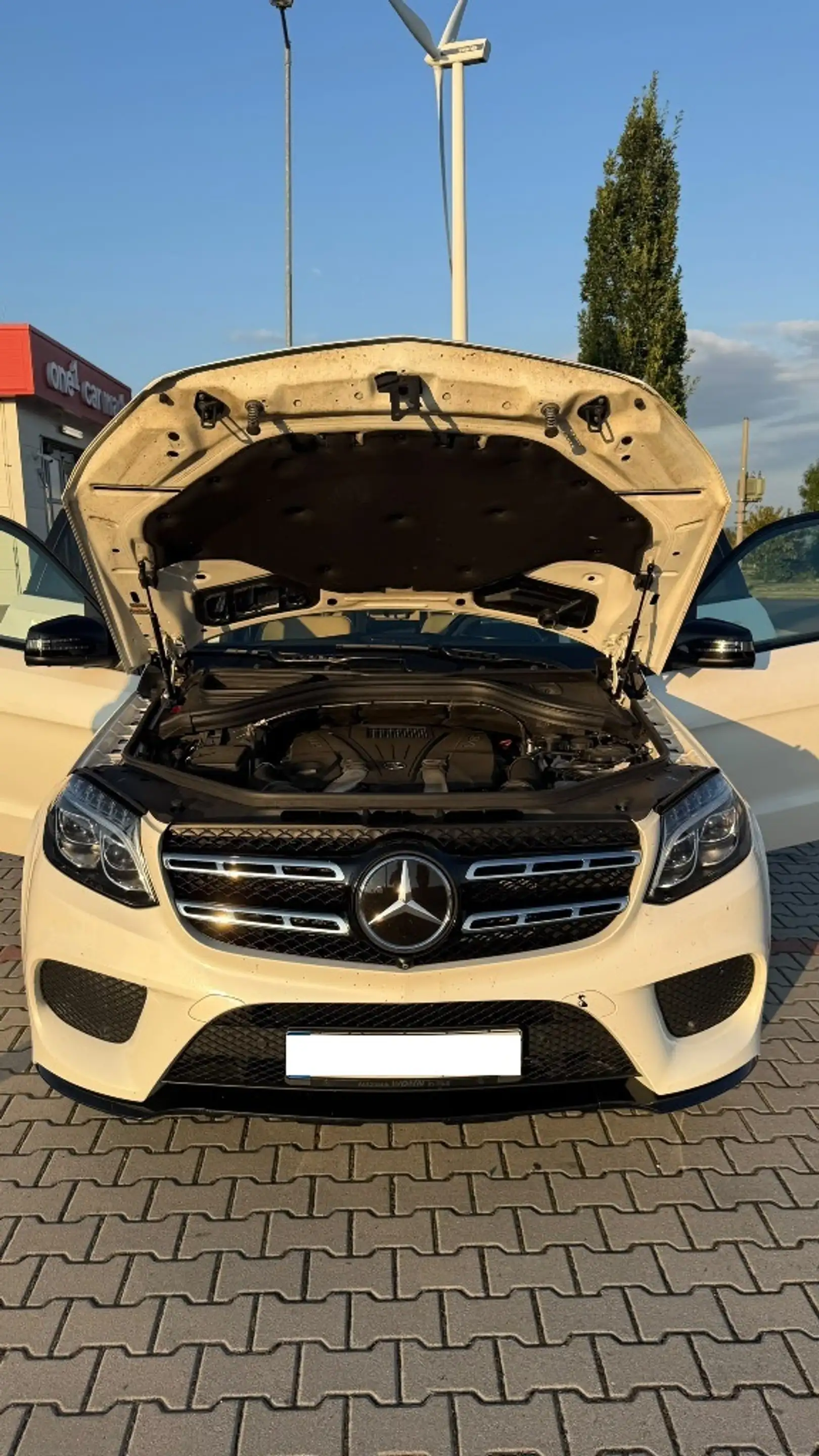 Mercedes-Benz GLS 500 GLS 500 4Matic (166.873) — photo 12