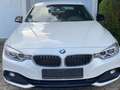 BMW 428 428i Coupe Sport Line Blanc - thumbnail 3