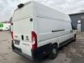 Fiat Ducato Maxi Grossr.-Kasten 35 140 L5H3 RS: 4035 Blanc - thumbnail 5