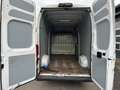 Fiat Ducato Maxi Grossr.-Kasten 35 140 L5H3 RS: 4035 Blanc - thumbnail 9