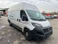 Fiat Ducato Maxi Grossr.-Kasten 35 140 L5H3 RS: 4035 Blanc - thumbnail 7