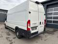 Fiat Ducato Maxi Grossr.-Kasten 35 140 L5H3 RS: 4035 Blanc - thumbnail 3