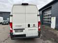 Fiat Ducato Maxi Grossr.-Kasten 35 140 L5H3 RS: 4035 Blanc - thumbnail 4