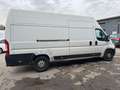 Fiat Ducato Maxi Grossr.-Kasten 35 140 L5H3 RS: 4035 Blanc - thumbnail 6