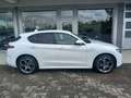 Alfa Romeo Stelvio 2.2 t Veloce Q4 210cv auto Bianco - thumbnail 2