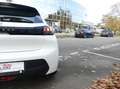 Peugeot 208 1.2 PURETECH 75 S&S ACTIVE PACK Blanc - thumbnail 39