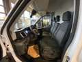 Ford Transit 350 L2H2 Lkw Kasten VA Trend Weiß - thumbnail 9