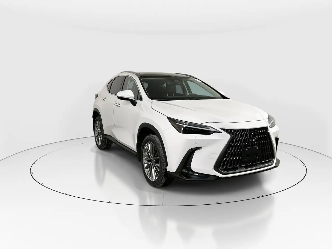 2026 Lexus NX