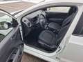 Hyundai i10 IA 1,0 MT GO Weiß - thumbnail 4