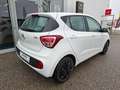 Hyundai i10 IA 1,0 MT GO Weiß - thumbnail 3