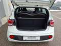 Hyundai i10 IA 1,0 MT GO Weiß - thumbnail 8