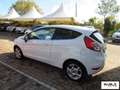 Ford Fiesta 1.5 TDCi 95 CV 3p. Titanium Bianco - thumbnail 6