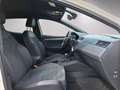 SEAT Ibiza FR 1.5 TSI DSG ACC Kamera LED PDC SHZ White - thumbnail 10