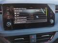 Skoda Kamiq Monte Carlo TSI DSG Grau - thumbnail 19