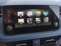 Skoda Kamiq Monte Carlo TSI DSG Grau - thumbnail 18