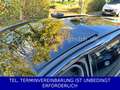 Mercedes-Benz E 400 d T 4Matic Pano-Dach AHK Avantgarde MJ2020 Schwarz - thumbnail 8