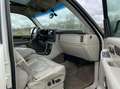Cadillac Escalade 6.0-V8 Luxury INCL Btw - Leder - 4-Persoons - Xeno Bianco - thumbnail 17