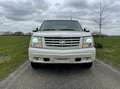 Cadillac Escalade 6.0-V8 Luxury INCL Btw - Leder - 4-Persoons - Xeno Wit - thumbnail 8