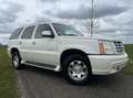 Cadillac Escalade 6.0-V8 Luxury INCL Btw - Leder - 4-Persoons - Xeno Wit - thumbnail 3