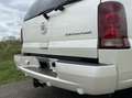 Cadillac Escalade 6.0-V8 Luxury INCL Btw - Leder - 4-Persoons - Xeno White - thumbnail 14