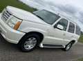 Cadillac Escalade 6.0-V8 Luxury INCL Btw - Leder - 4-Persoons - Xeno Wit - thumbnail 7