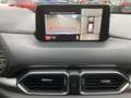Mazda CX-5 G165 Edition 100 + AHV! Grau - thumbnail 15