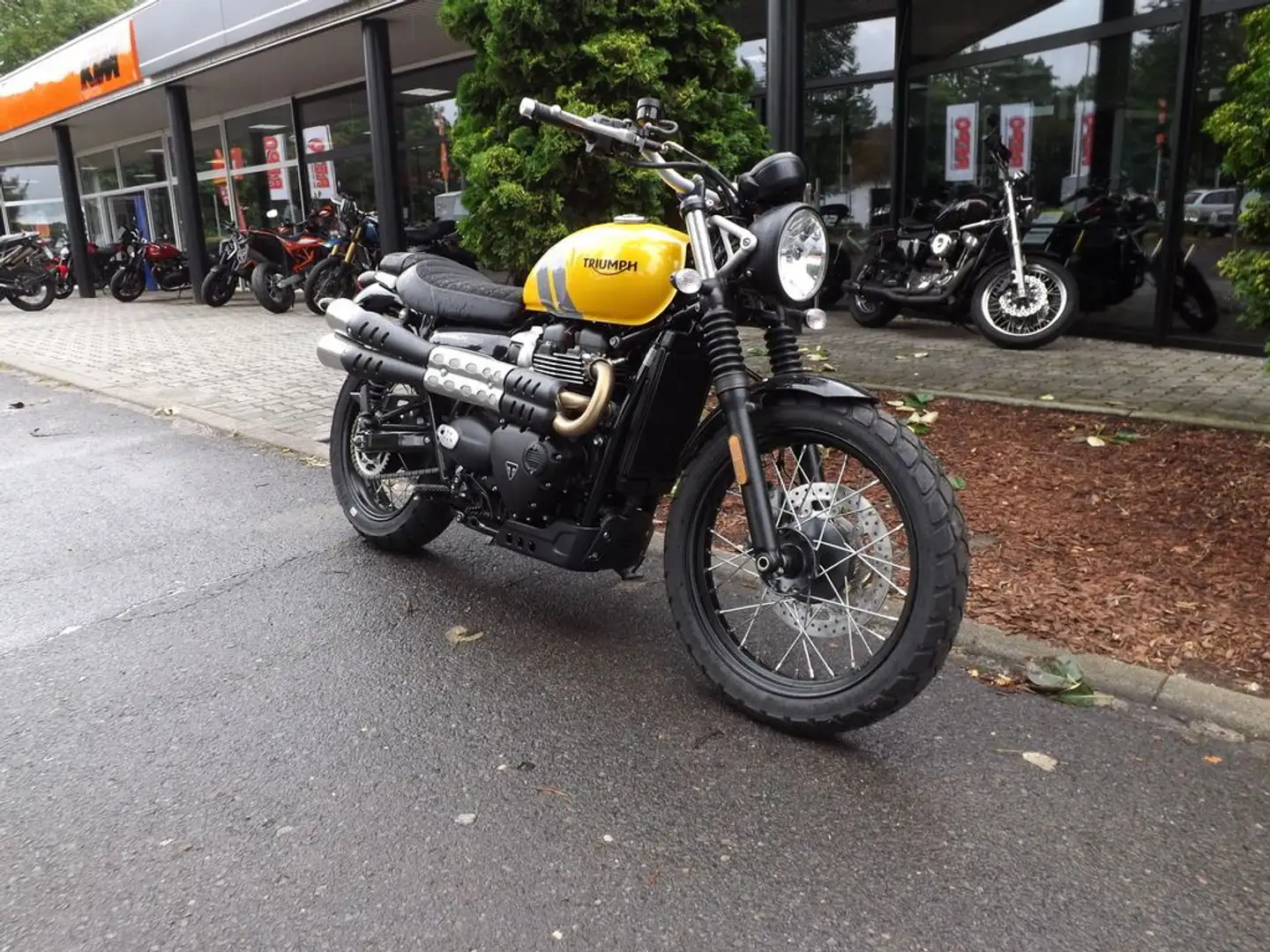 Triumph Scrambler 900 Gelb - 2